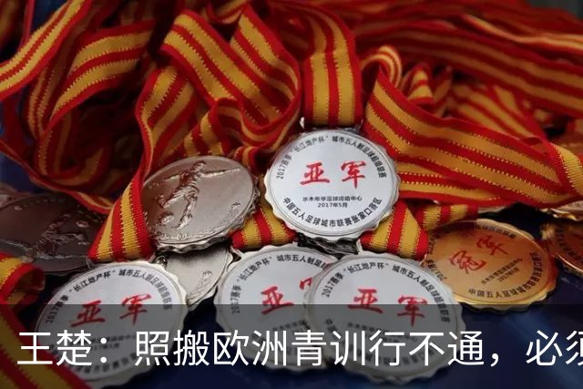 王楚：照搬欧洲青训行不通，必须培养出有自主决策能力的球员